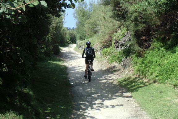 auf dem Trail mit den Mountain-Bikes