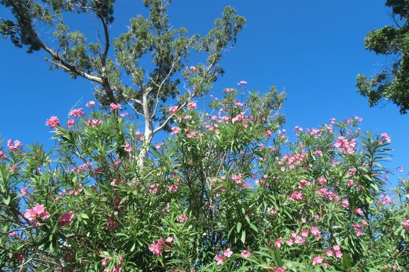 viele bunte Impressionen entlang der Wege