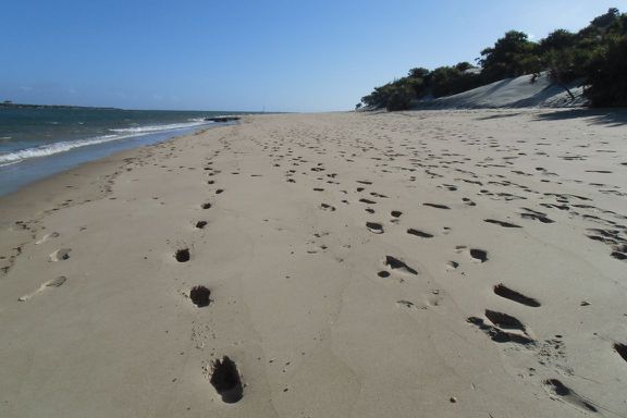 Fußabdrücke im feinen Sandstrand südlich von Shela.