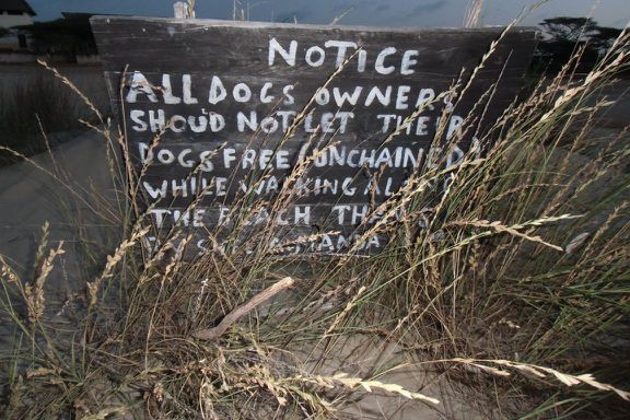 Hunde hier auf dem Strand von Manda bitte anleinen.