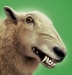 Benutzeravatar