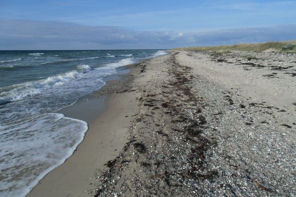 direkt am Strand