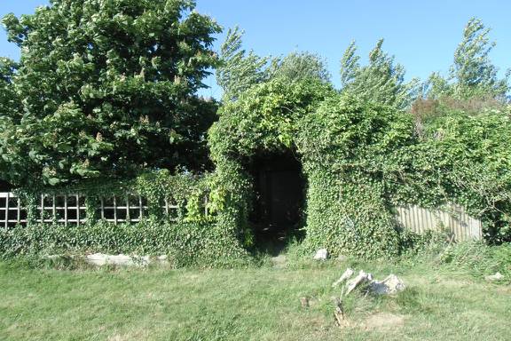 Der Eingang zum grünen Outdoor-Shack